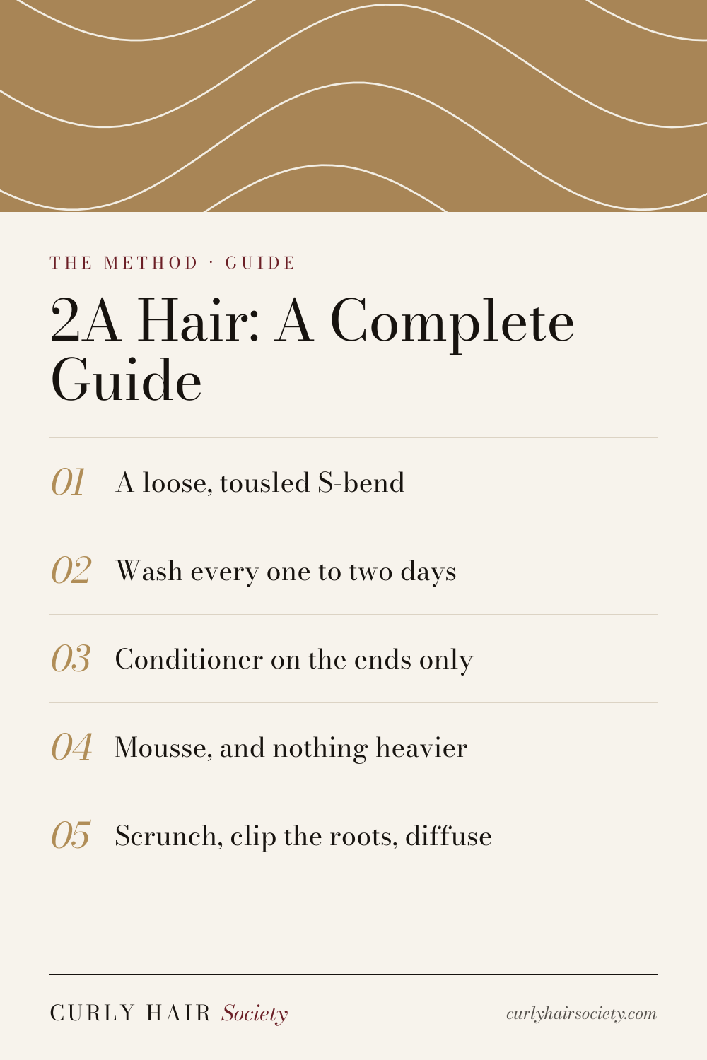 2A Hair: A Complete Guide, a summary graphic from Curly Hair Society