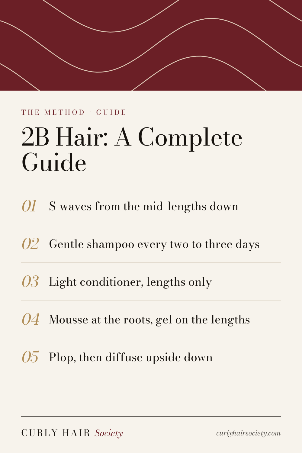 2B Hair: A Complete Guide, a summary graphic from Curly Hair Society