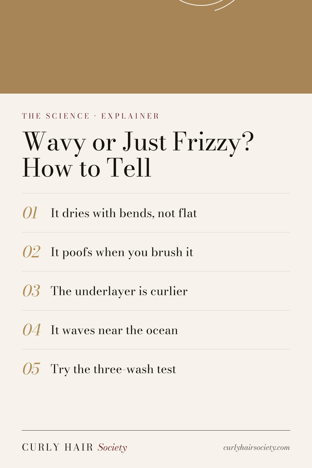 Wavy or Just Frizzy? How to Tell, a summary graphic from Curly Hair Society