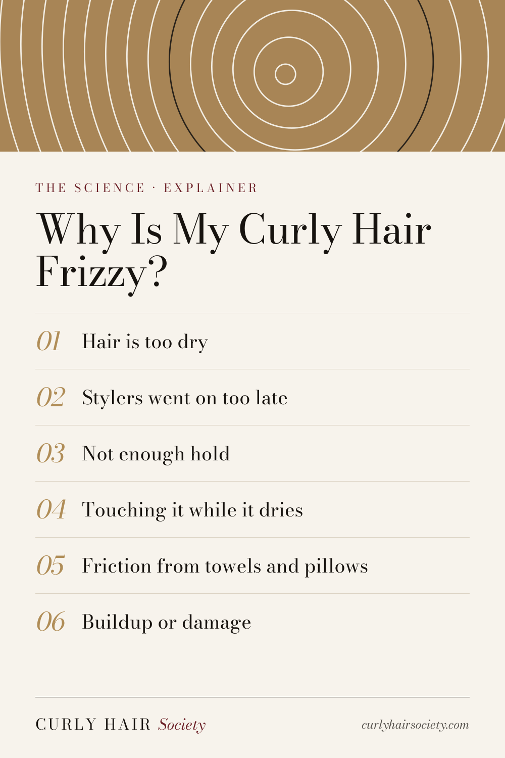 Why Is My Curly Hair Frizzy?, a summary graphic from Curly Hair Society